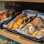 酒店 亚历山大酒店