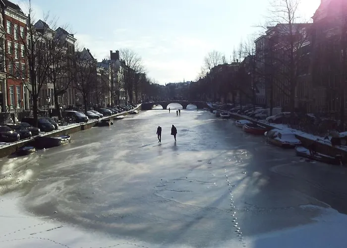 호텔 알렉산더 3*