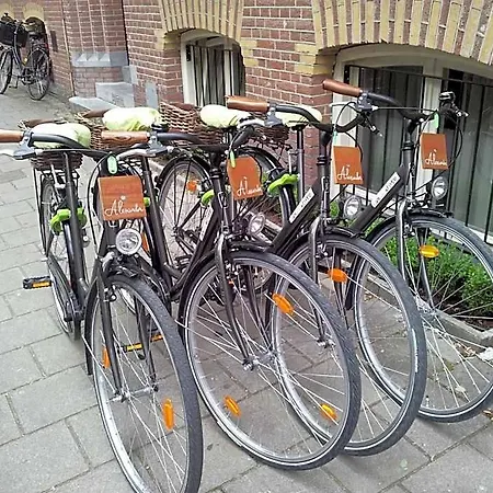 Alexander Hotel 3*